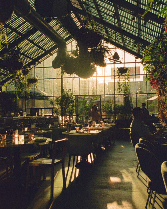 Diners enjoy their meals in the restaurant, illuminated by sunlight streaming through large windows.