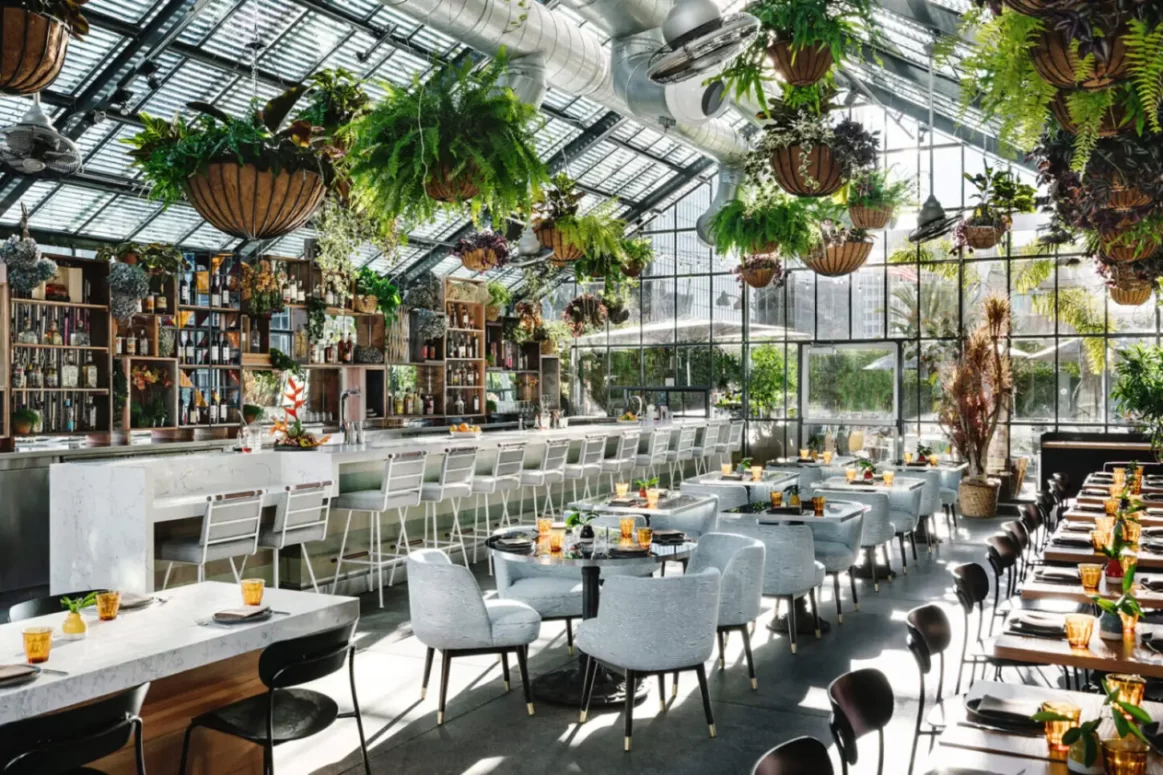 picture of dinning tables ,chairs and plants with background of glass windows